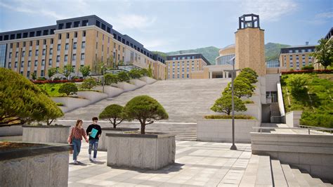 부산외대 도서관, 책 속에 숨겨진 시간여행의 비밀